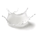 Puro Kéfir de Oveja 430g (congelado)