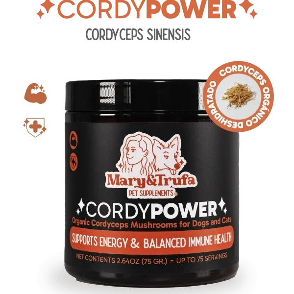 MARY&TRUFA Potencia&Energy