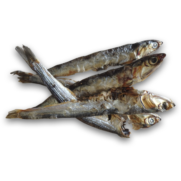 OK Mascota Boquerón Entero del Mediterráneo 50 gr