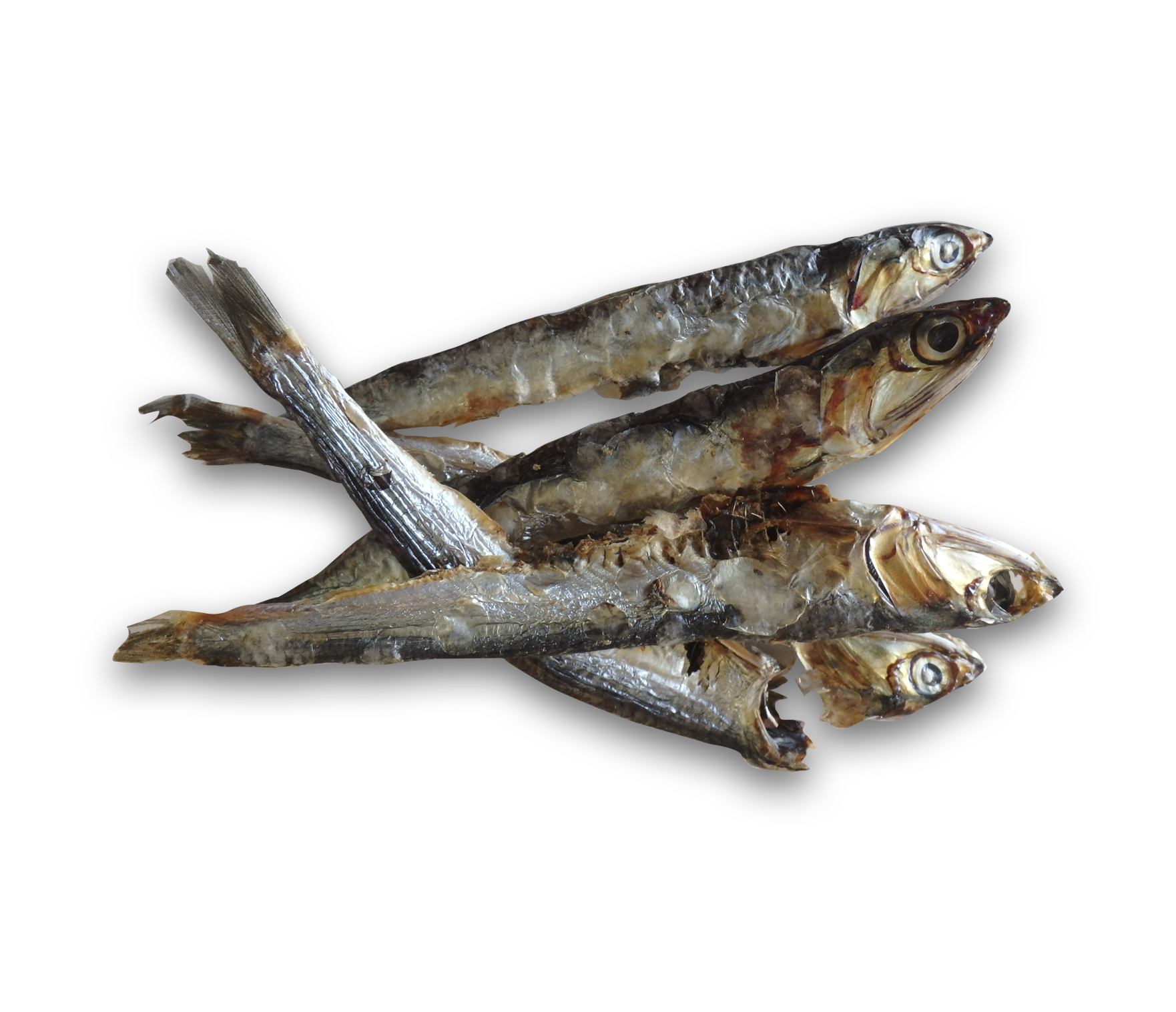 OK Mascota Boquerón Entero del Mediterráneo 50 gr