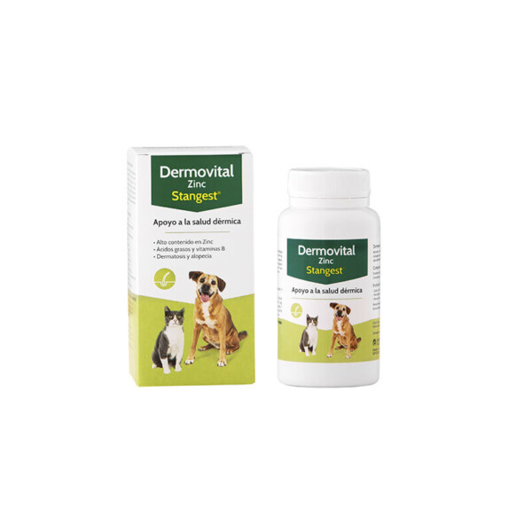 Stangest Dermovital Zinc 60 comprimidos